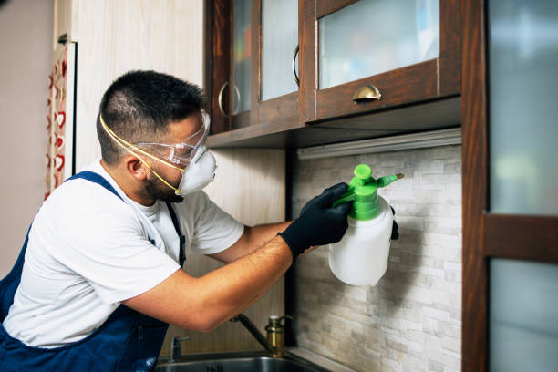 Trusted Independence, IA Pest Control Experts