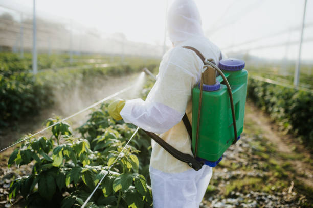 Best Exterminator Services  in Independence, IA